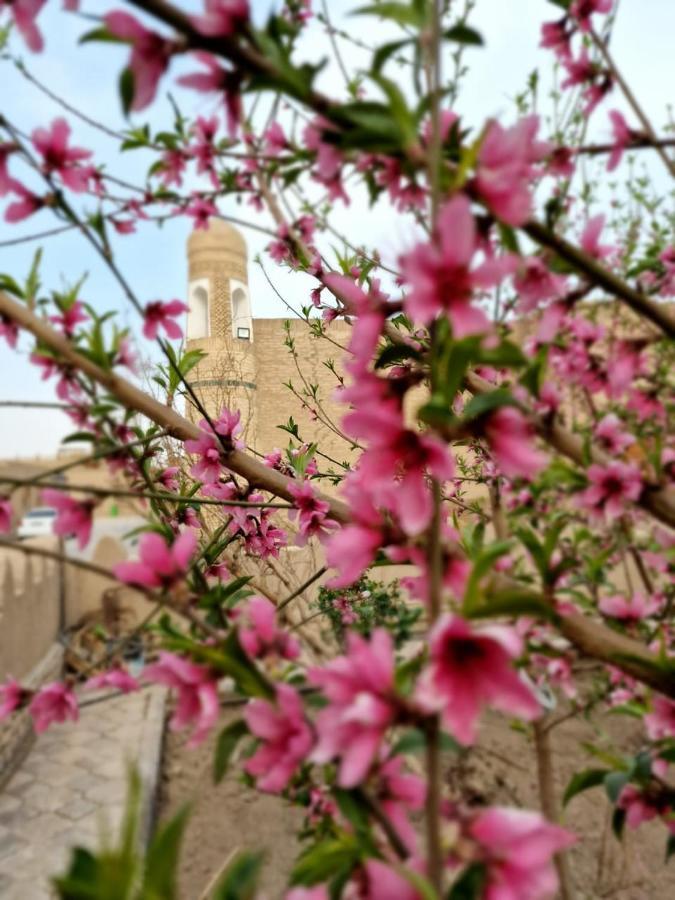 Guest House Khiva Boyjon Ota Екстериор снимка